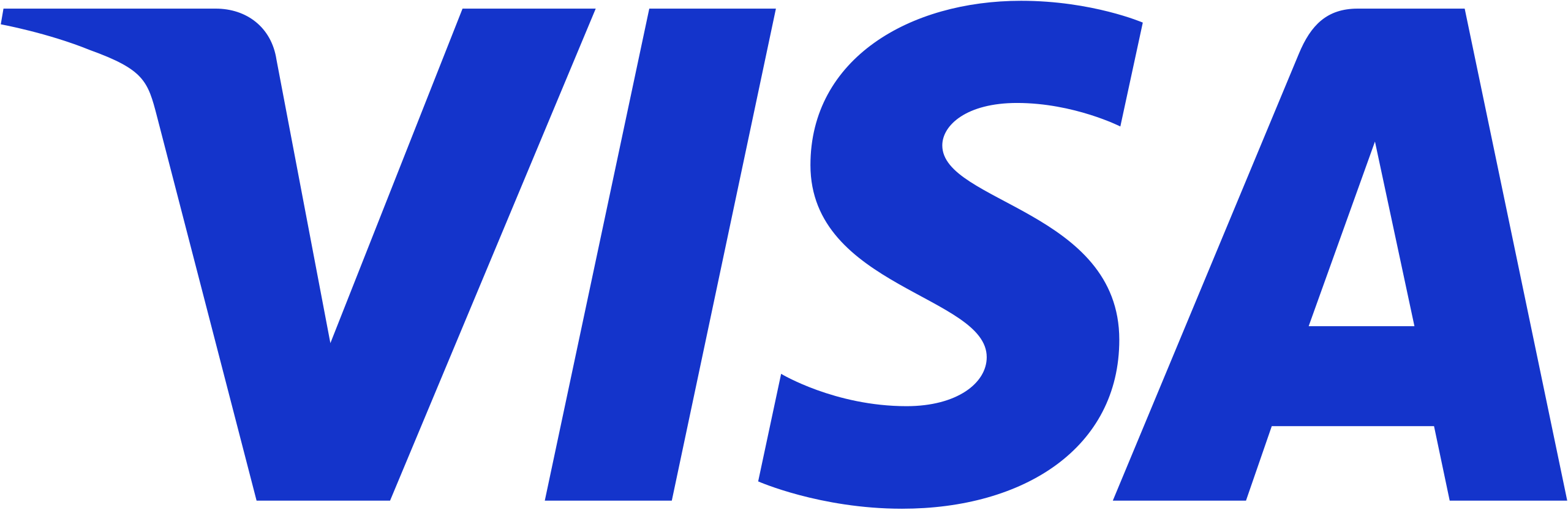Виза логотип